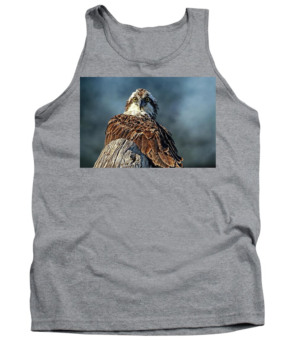 Osprey Tank Top featuring the photograph Birds - Osprey - The Look by HH Photography of Florida
