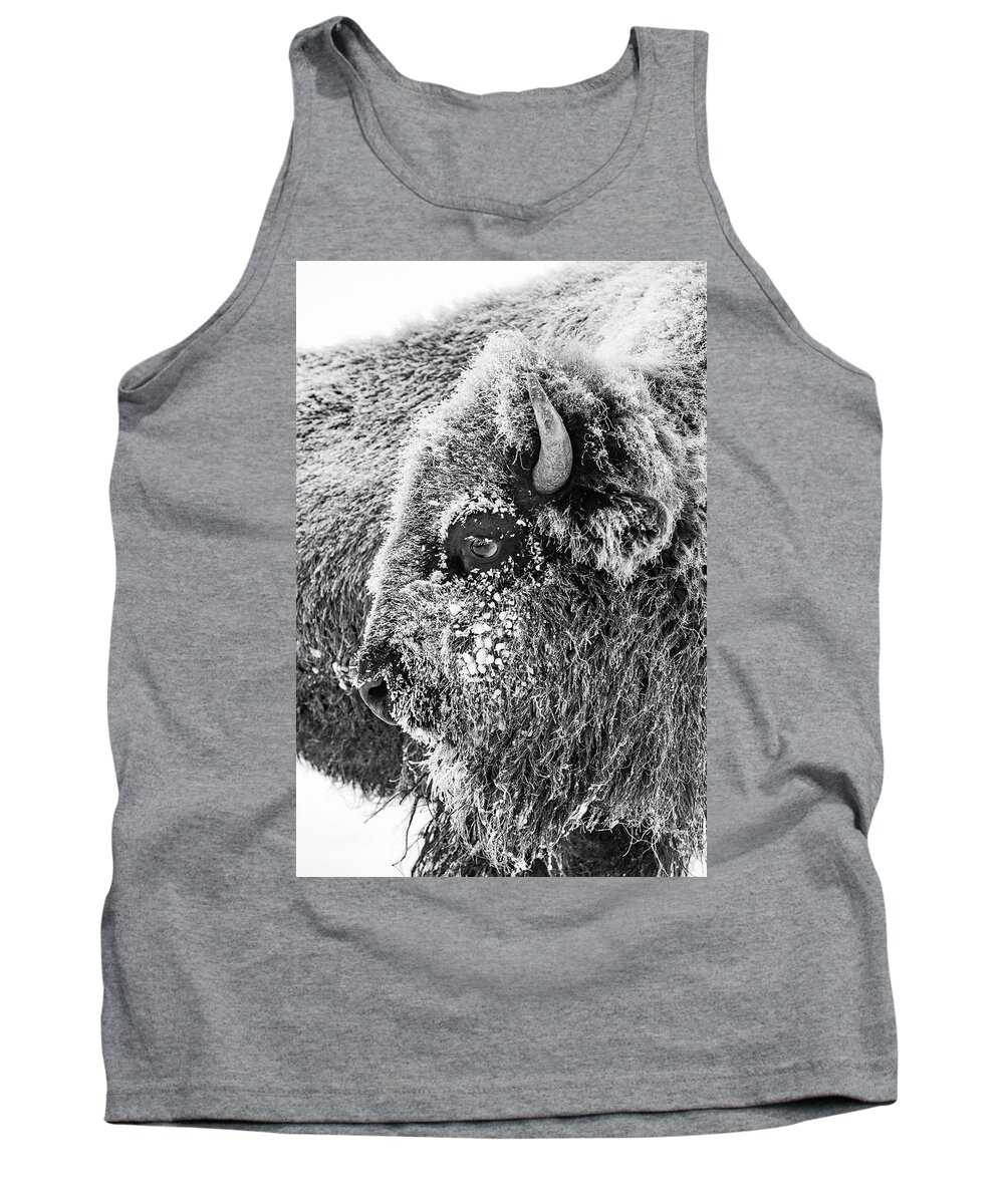 Bison Tank Top featuring the photograph Bison portrait by D Robert Franz