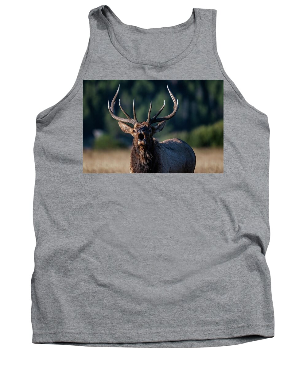 Hello Tank Top featuring the photograph Hello by Bitter Buffalo Photography