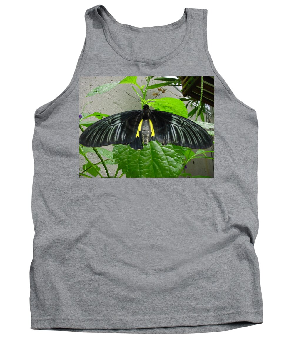 Butterflies Tank Top featuring the photograph Black Stealth Butterfly by Pour Your heART Out Artworks