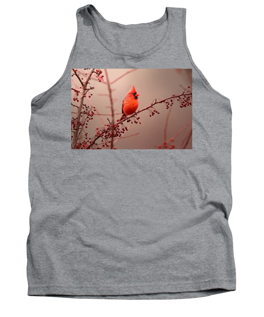 Cardinal Tank Top featuring the photograph Bold Beauty by Rob Blair