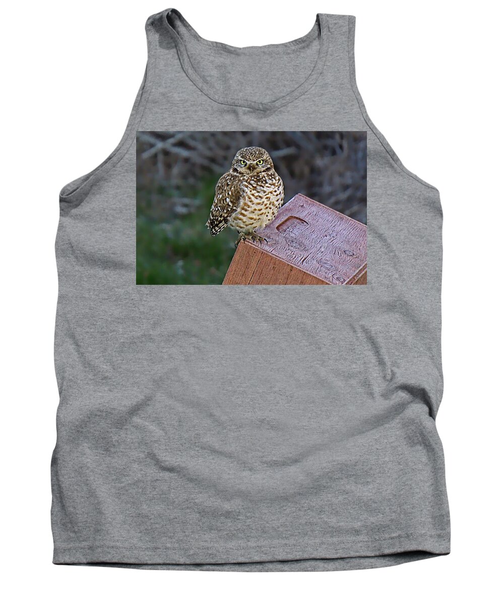 Alone Tank Top featuring the photograph Bright Eyes by David Desautel