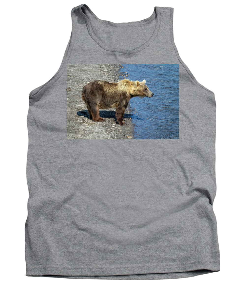 Bear Tank Top featuring the photograph Brown bear looking for fish in river by Mikhail Kokhanchikov