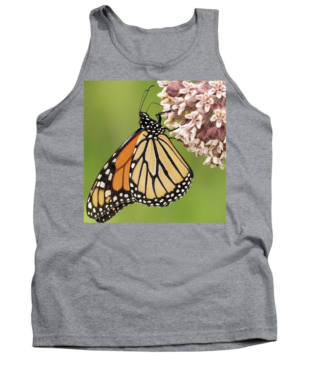Butterfly Pink Flower Tank Top featuring the photograph Butterfly on a Pink Flower by David Morehead