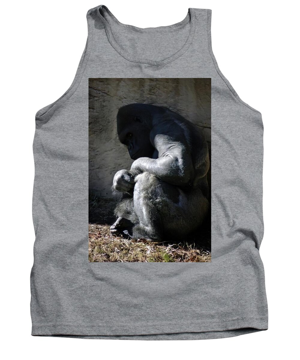 Gorilla Tank Top featuring the photograph Captive by DArcy Evans