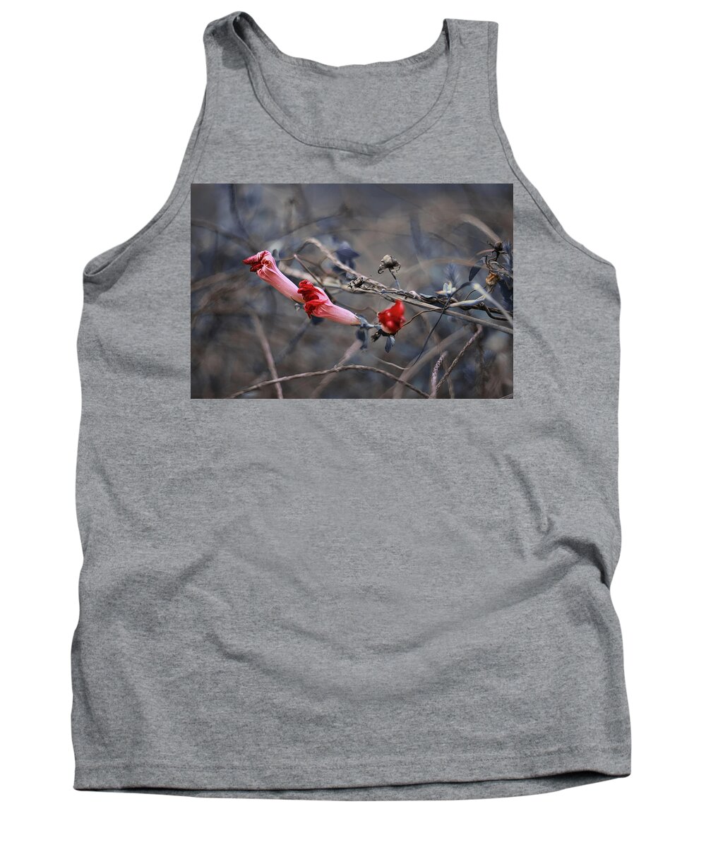 Nature Art Tank Top featuring the photograph Chariots and Ropes by Gian Smith