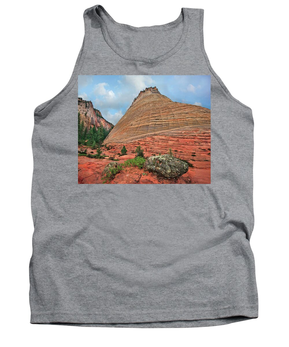 00555583 Tank Top featuring the photograph Checkerboard Mesa, Zion by Tim Fitzharris