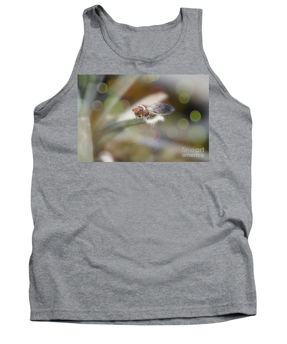 Cicada Tank Top featuring the photograph Cicada on Pineapple Tree in Summer Light by Colleen Cornelius