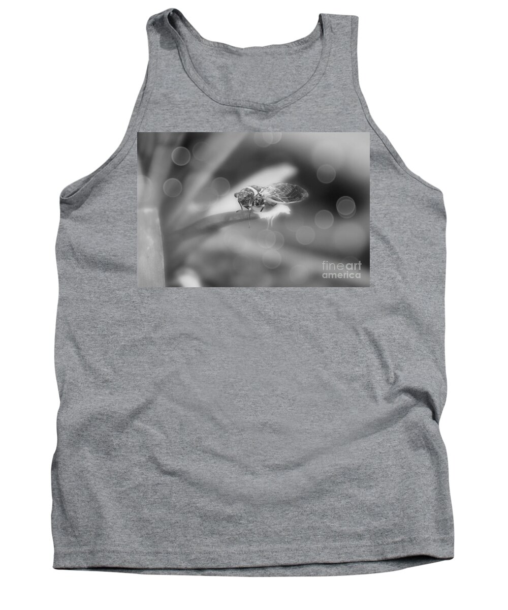 Cicada Tank Top featuring the photograph Cicada on Pineapple Tree in Summer Light in Black and White by Colleen Cornelius