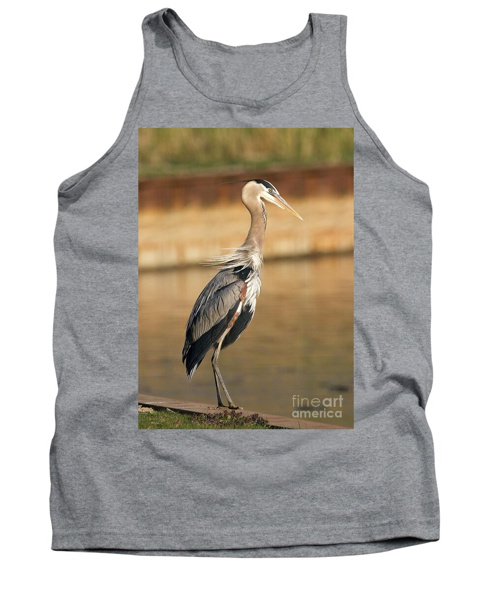 Great Blue Heron Tank Top featuring the photograph Classic Great Heron Pose by Yvonne M Smith
