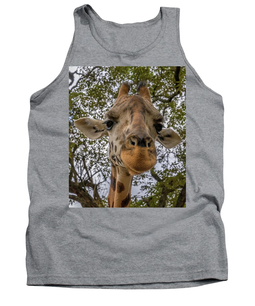 Africa Tank Top featuring the photograph Close Up of a Giraffe by Laura Hedien