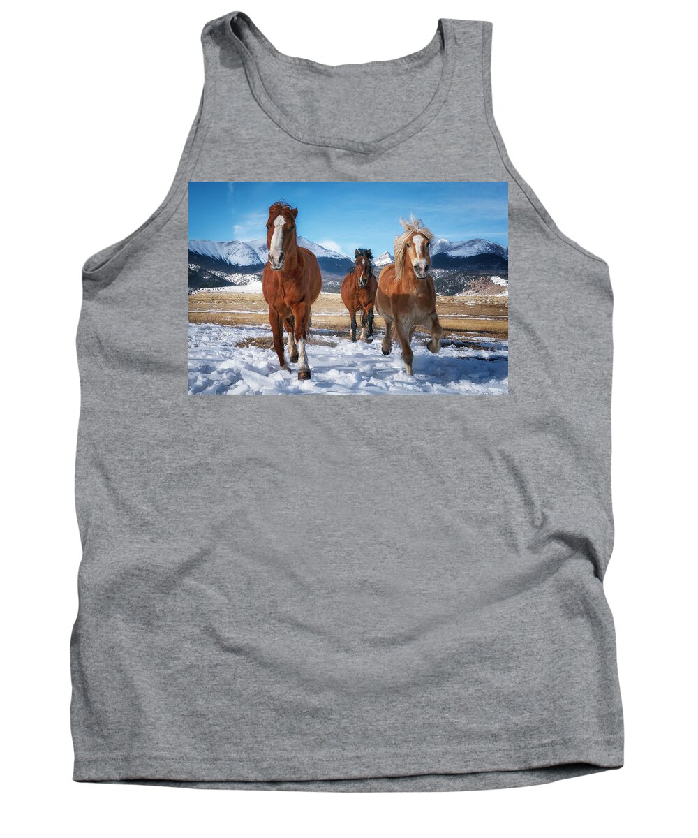 Horses Tank Top featuring the photograph Colorado Horses WC by David Soldano