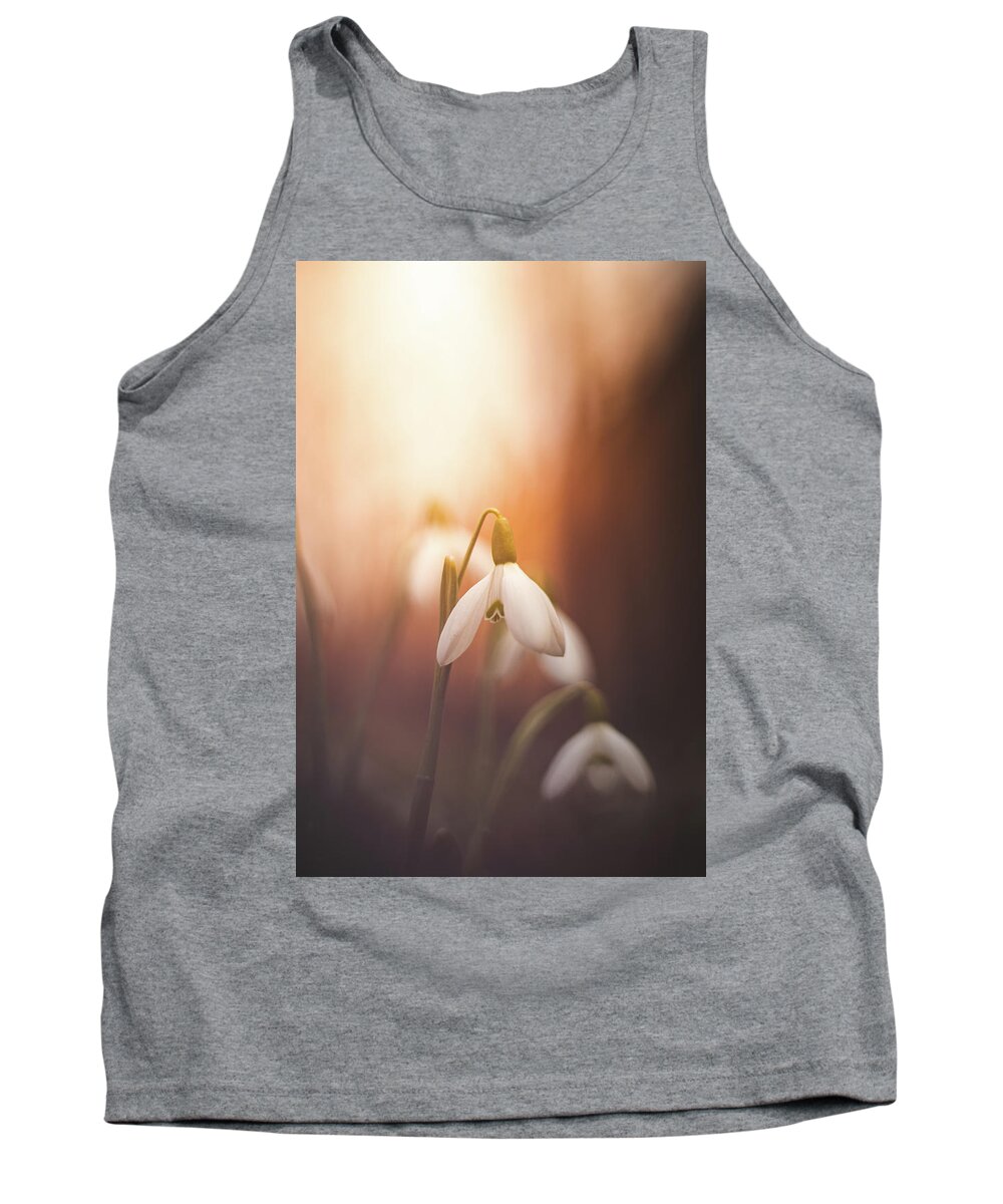 Europe Tank Top featuring the photograph Common snowdrop at sunset. Magic flower sprouting from the soil by Vaclav Sonnek