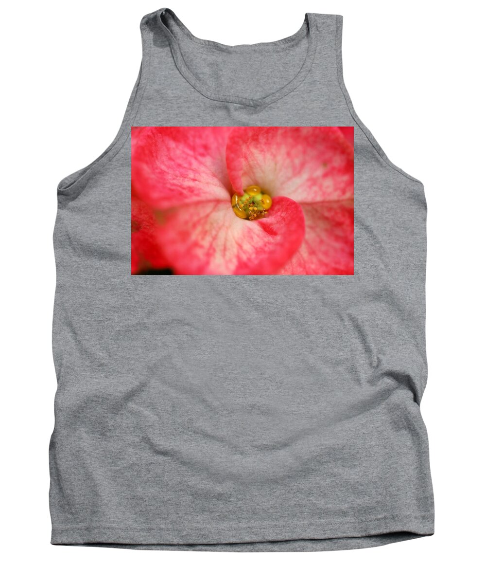 Travel Tank Top featuring the photograph Crown of Thorns by Nicholas Miller