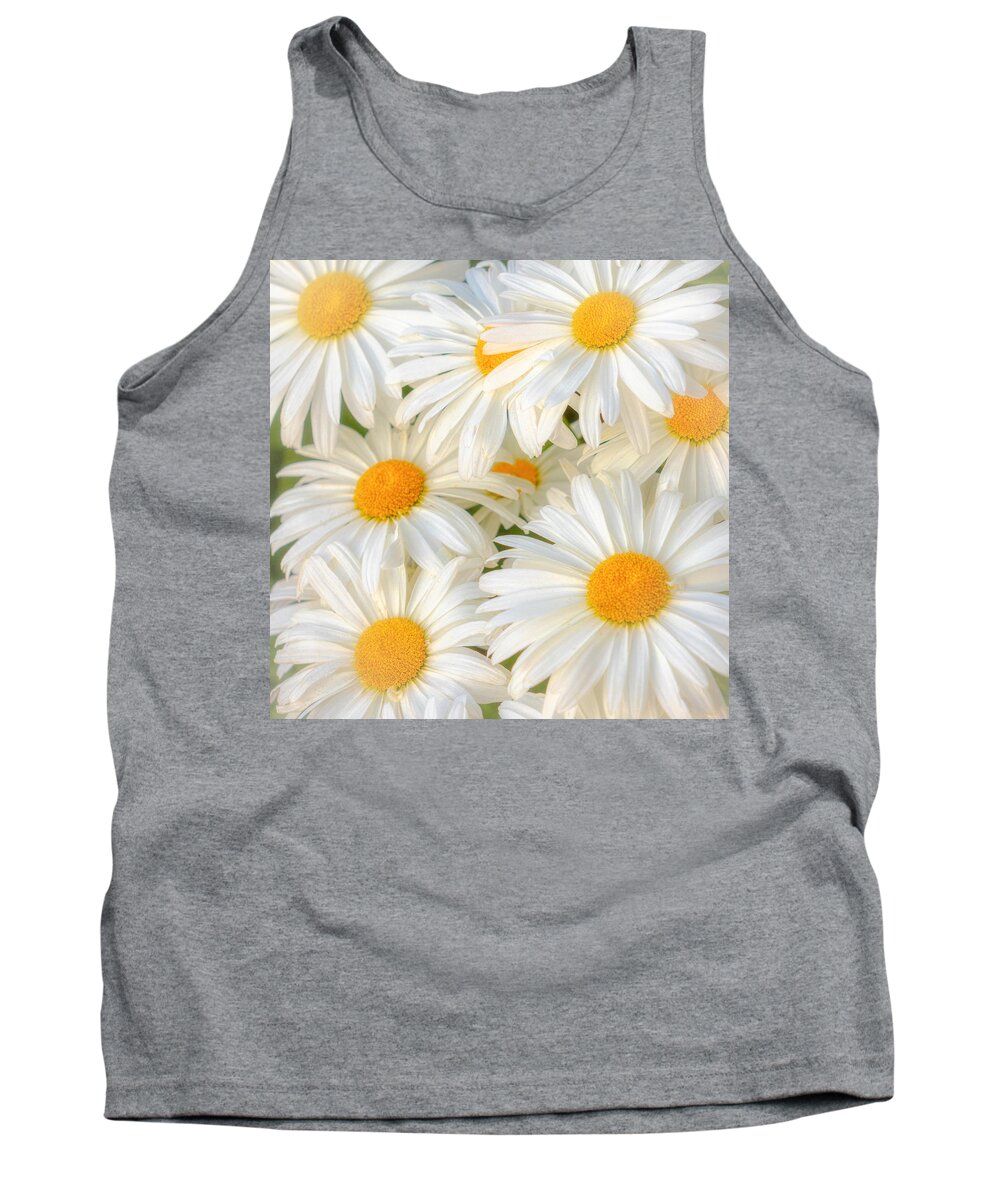 Daisies Tank Top featuring the photograph Daisies in a Square by Rod Best