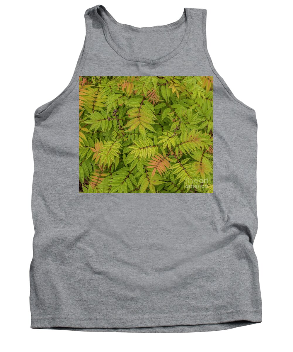 False Spiraea Tank Top featuring the photograph Delicate leaves by Susan Vineyard