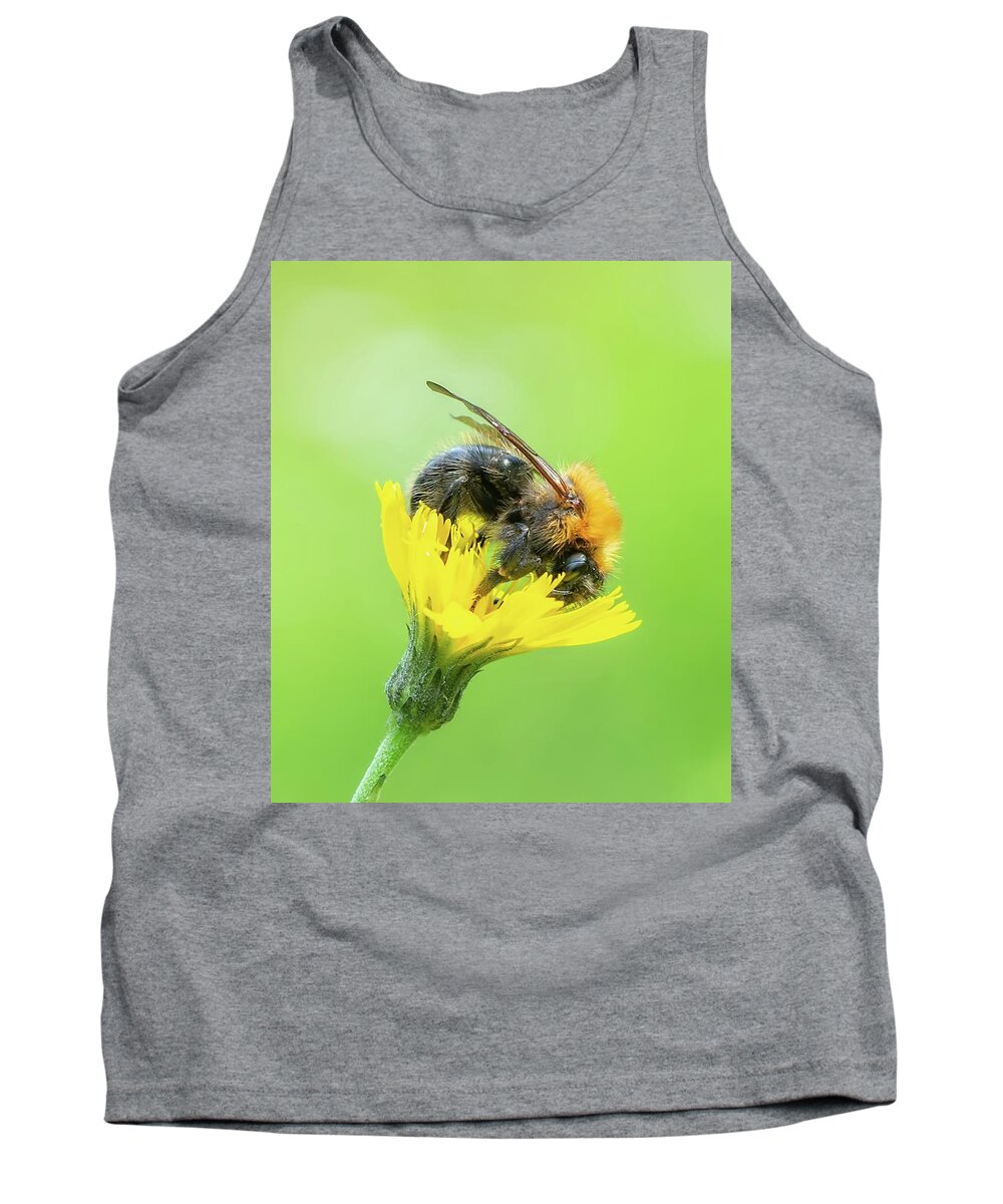 Macro.macrolover Tank Top featuring the photograph Diligent worker by Rose-Marie Karlsen