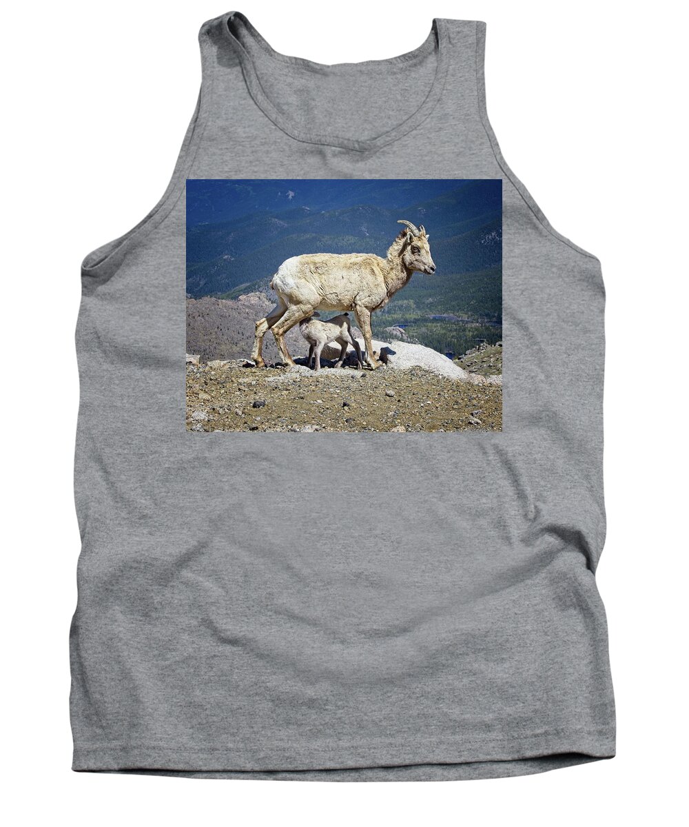 Colorado Tank Top featuring the photograph Dinner Time by Ronald Lutz