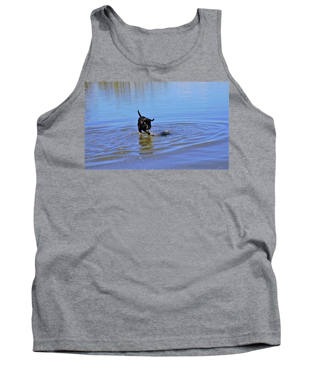Lab Tank Top featuring the photograph Dog Days of Summer by James Cousineau