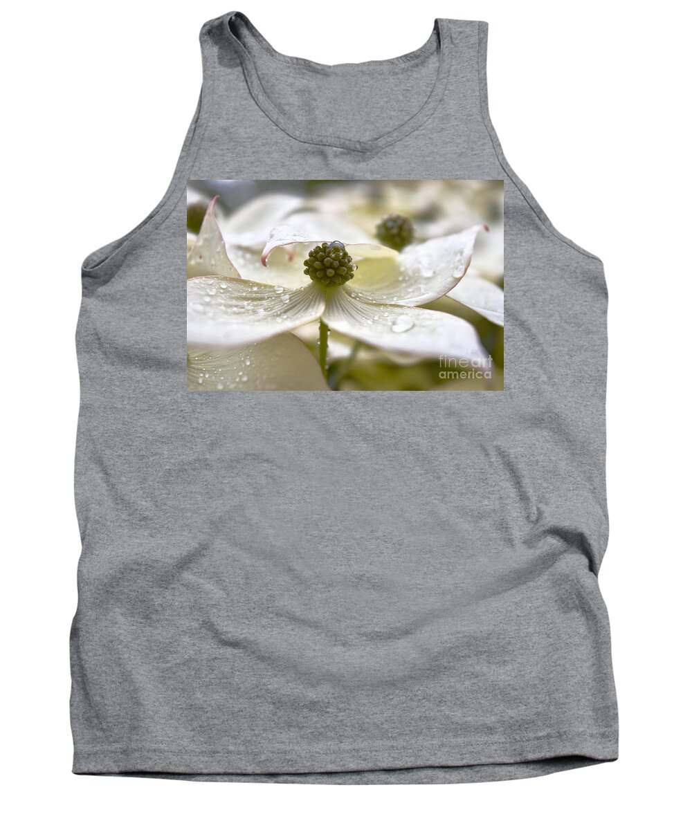 Kousa Dogwood Tank Top featuring the photograph Dogwood Delicate Raindrops by Debra Banks