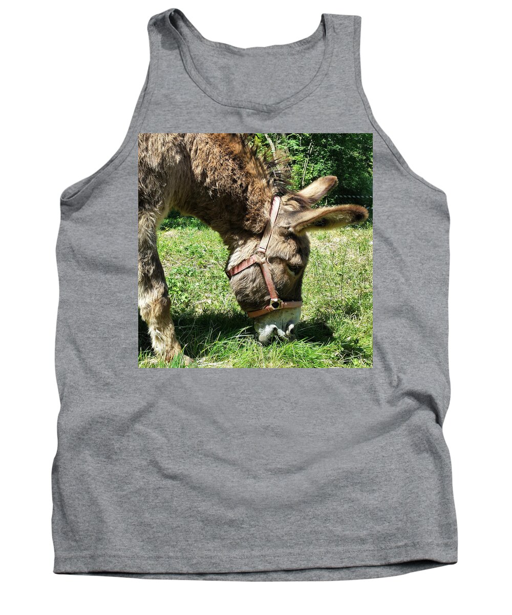 Donkey Tank Top featuring the mixed media Donkey l'ane Piano by Joelle Philibert