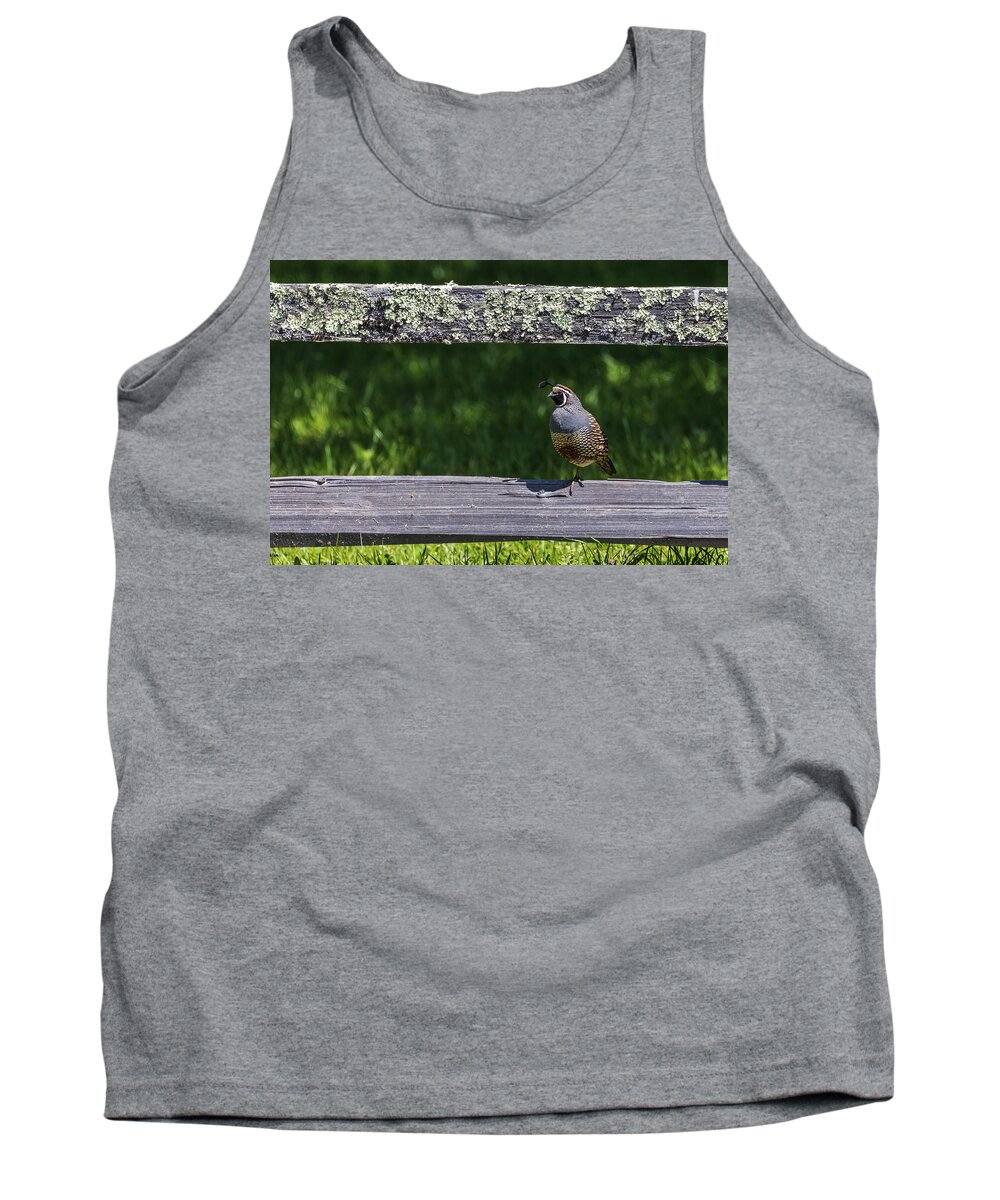 Bird Tank Top featuring the photograph Don't Fence Me In by Laura Roberts