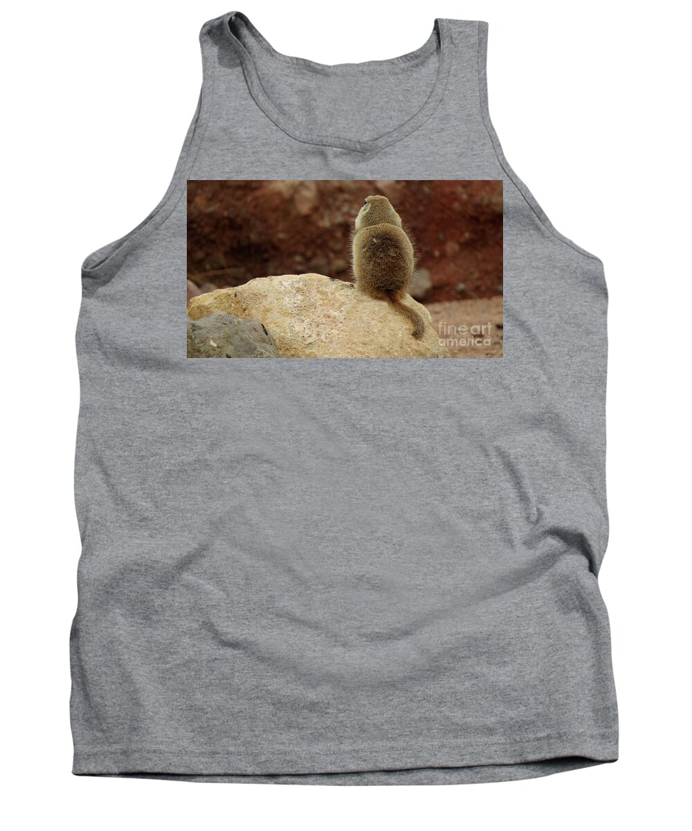 Animals Tank Top featuring the photograph Don't Talk To Me by Mary Mikawoz