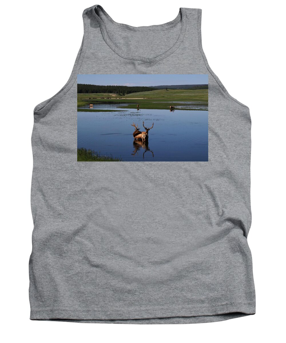 Elk Tank Top featuring the photograph Elk and Bison at the lake. by Yvonne M Smith