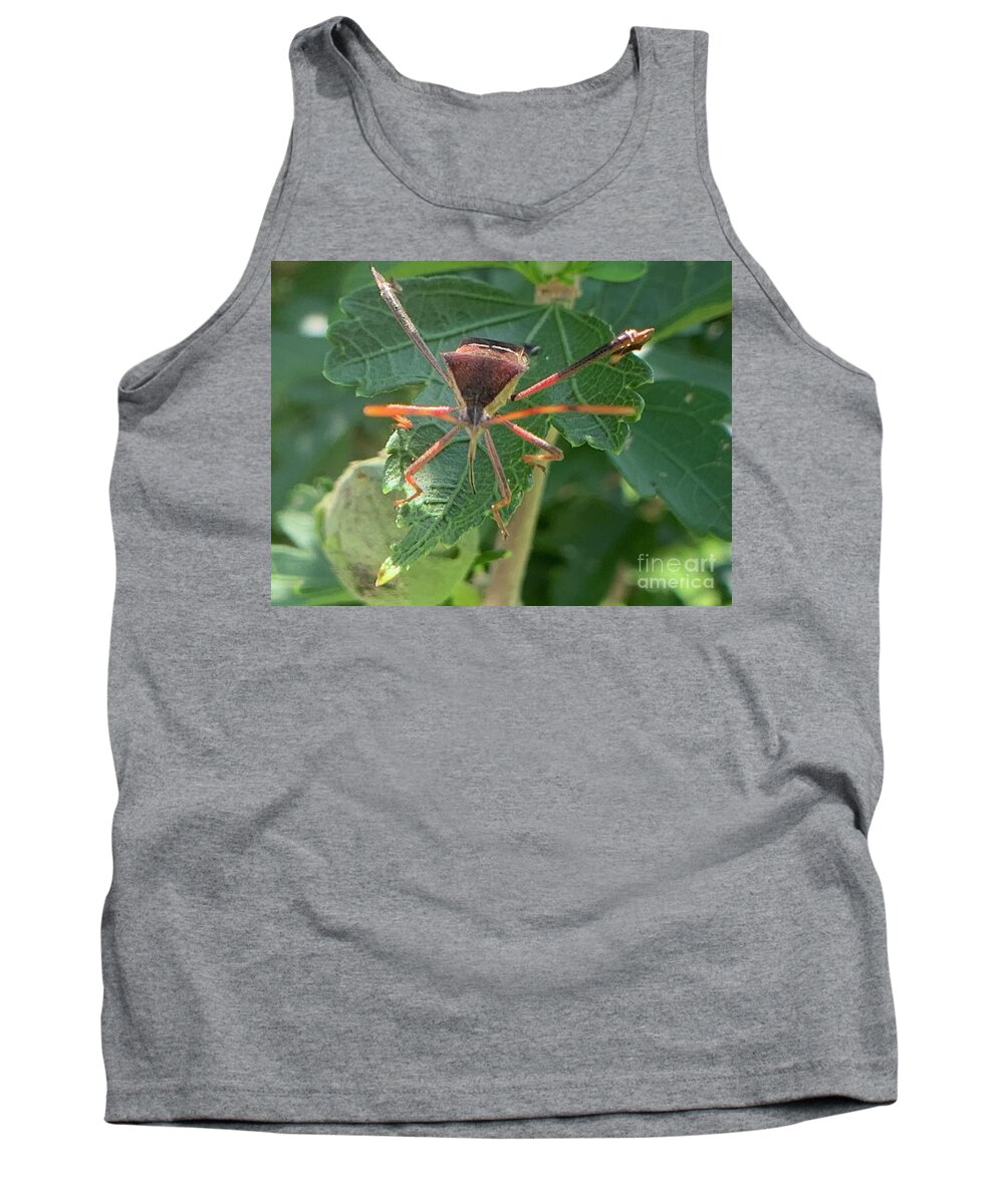 Leaf Footed Bug Tank Top featuring the photograph Face me by Catherine Wilson