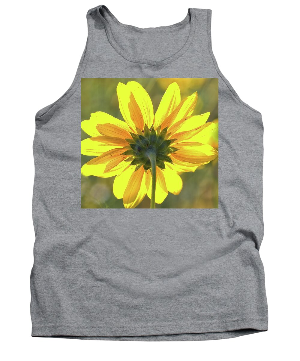 Sunflower Tank Top featuring the photograph Facing the sun by Bob Falcone