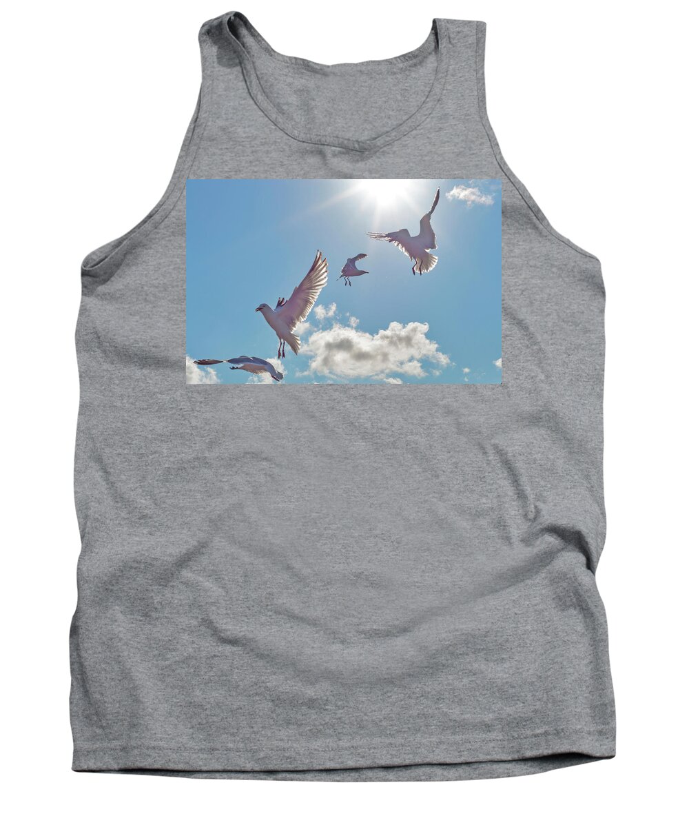 Seagulls Tank Top featuring the photograph Falling Angels by Nick Barkworth