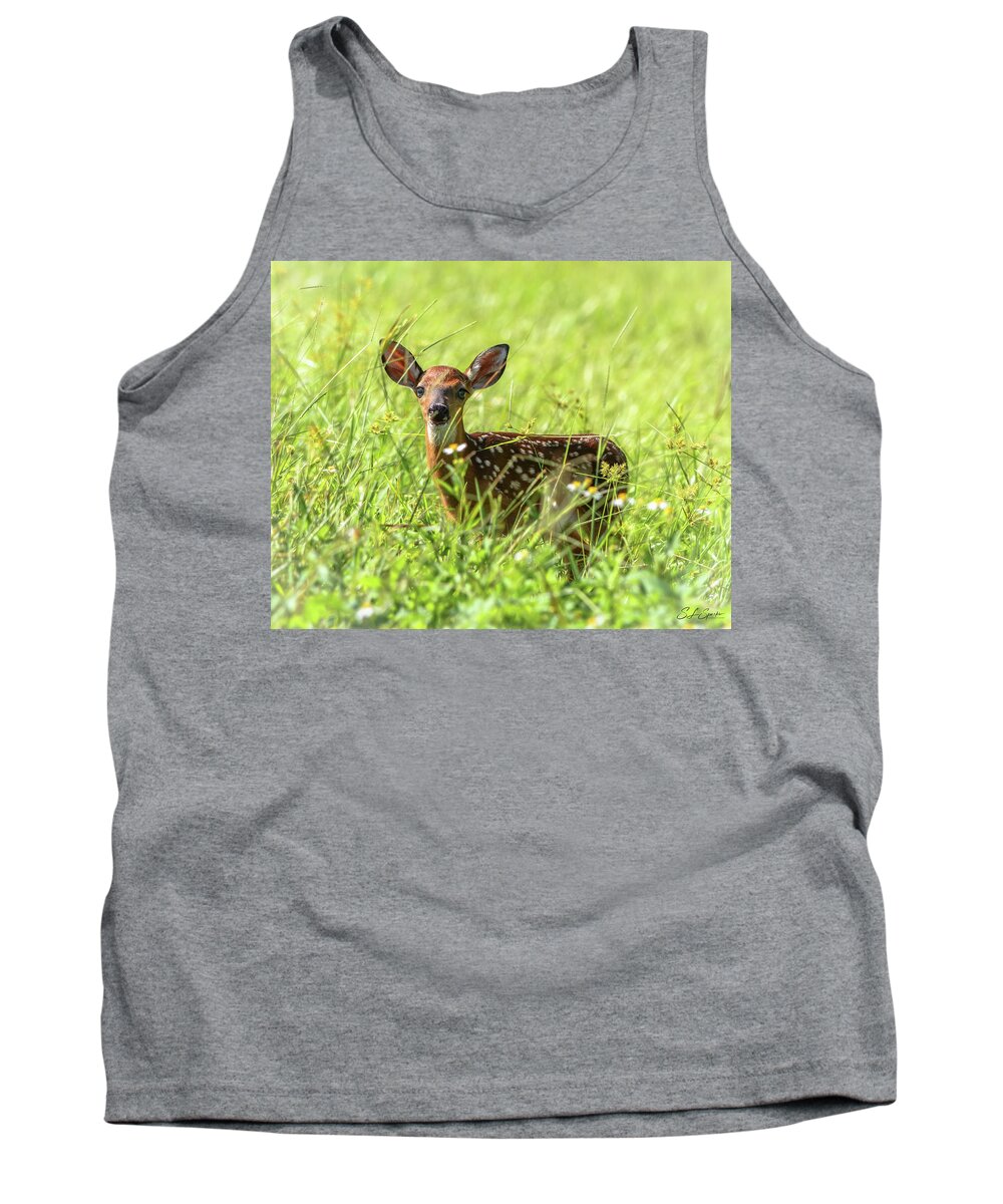 Fawn Tank Top featuring the photograph Fawn In Sunny Grass by Steven Sparks