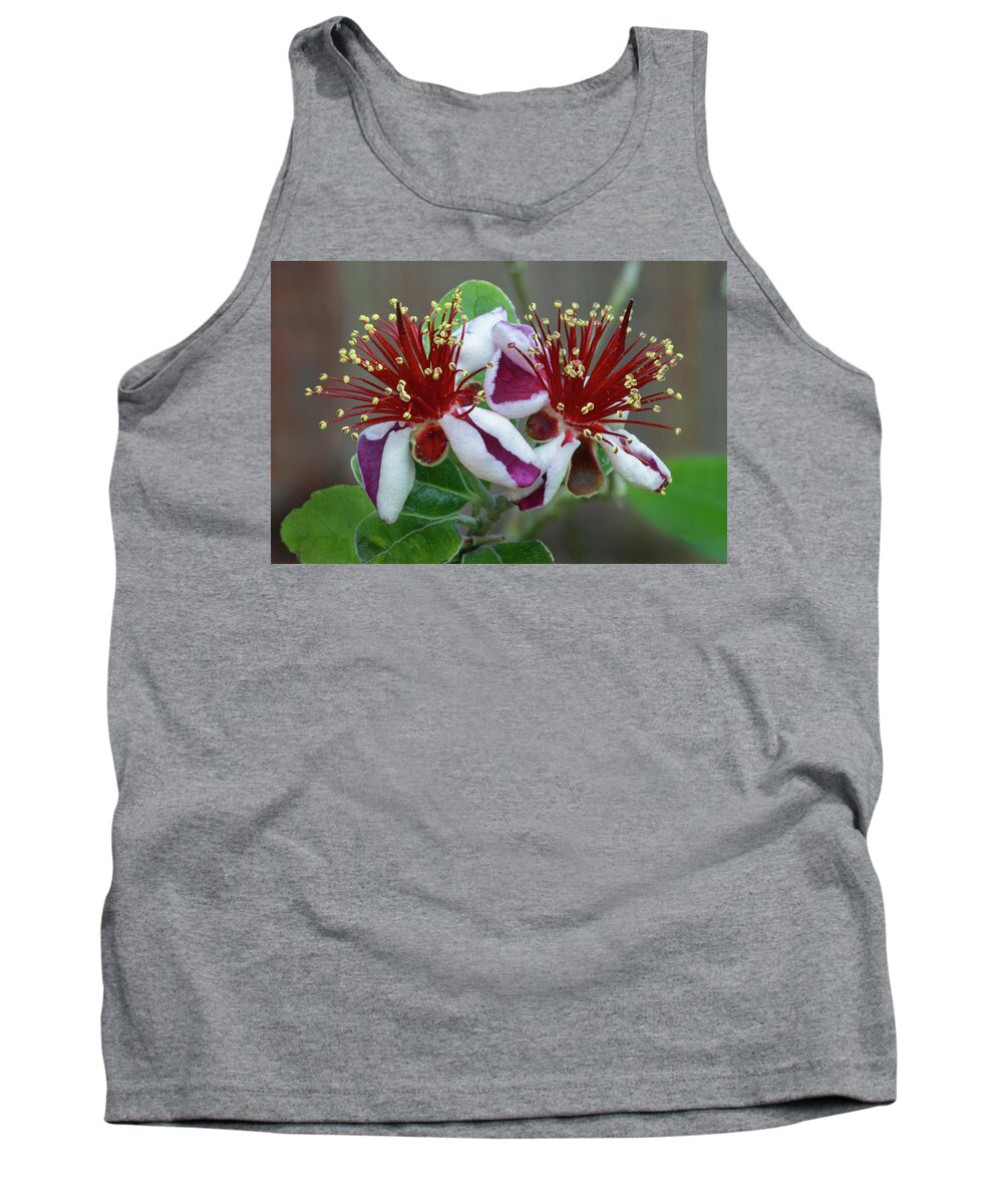 Feijoa Tank Top featuring the photograph Feijoa Twins by Terence Davis