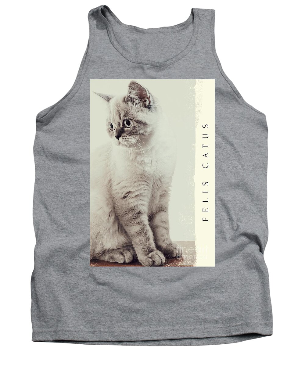 Cat Tank Top featuring the photograph Felis Catus by Claudia Zahnd-Prezioso