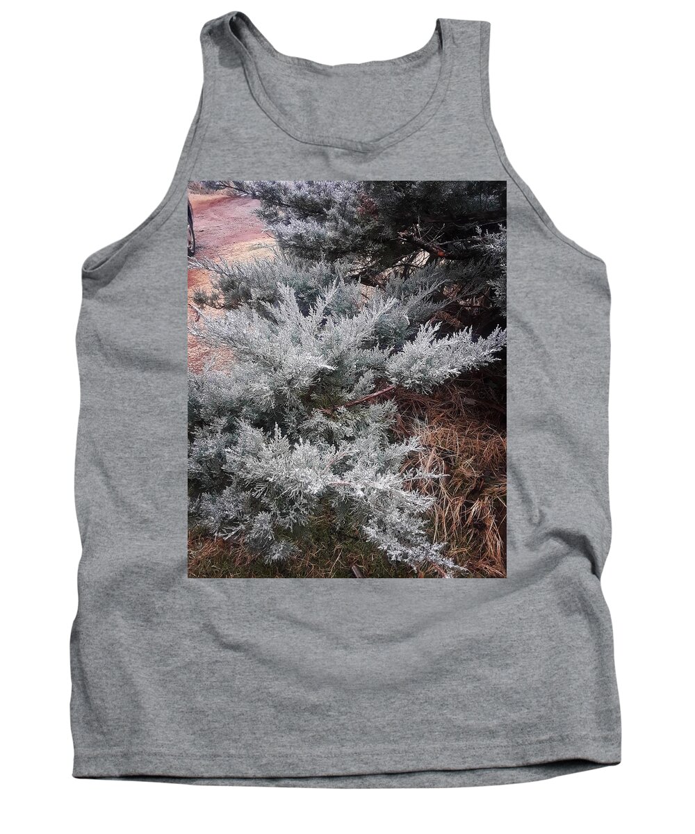 Scenery Tank Top featuring the photograph First Frost by Ariana Torralba