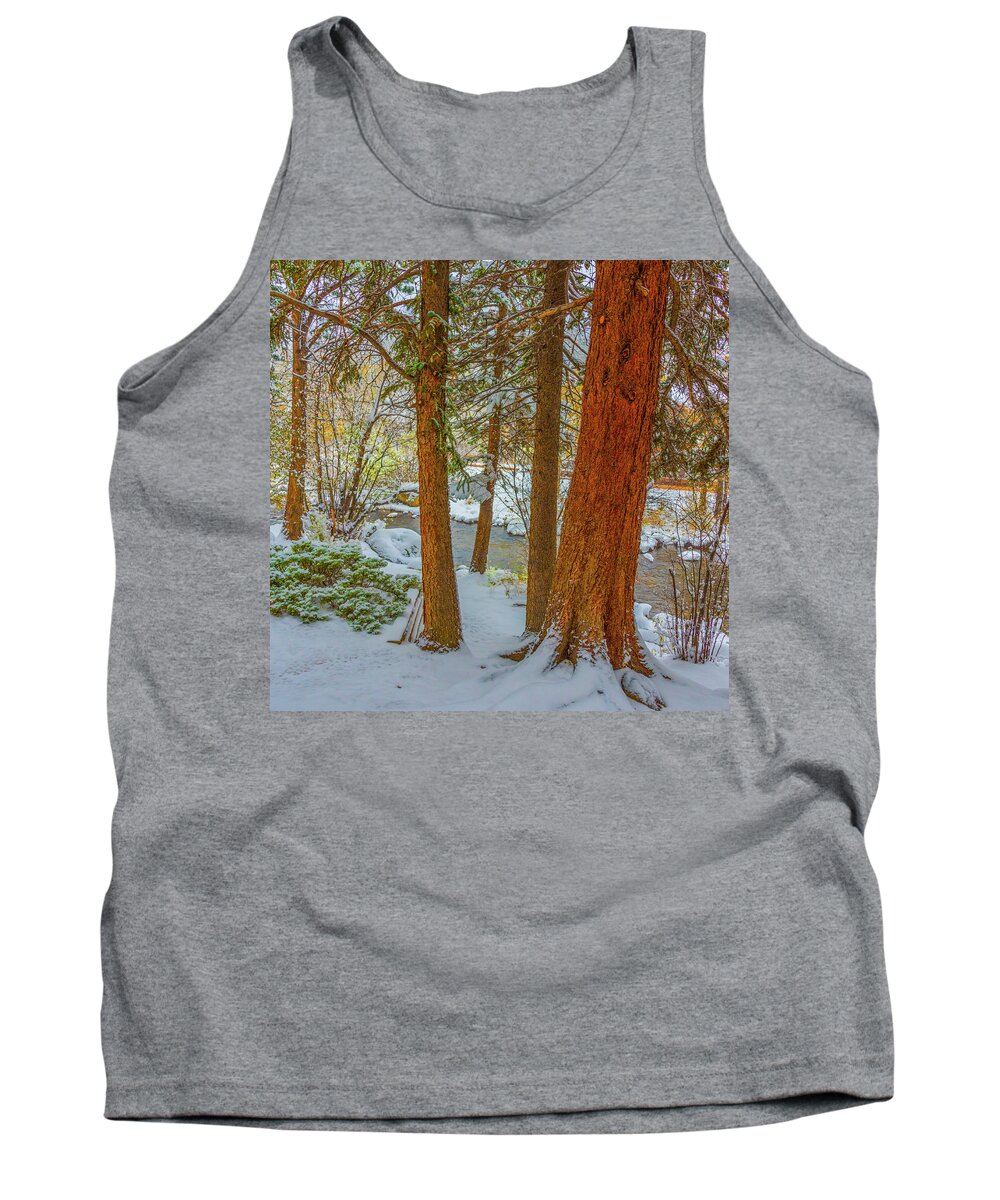 Calm Tank Top featuring the photograph Pine Trees in Snow by Tom Potter