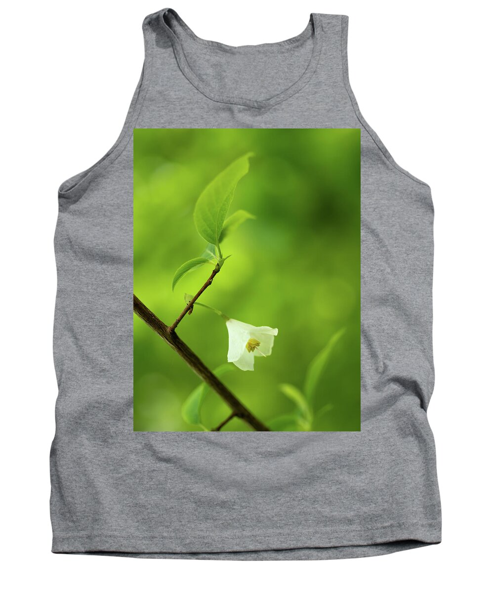 Fine Art Tank Top featuring the photograph Flower of the snowdrop bush by Average Images