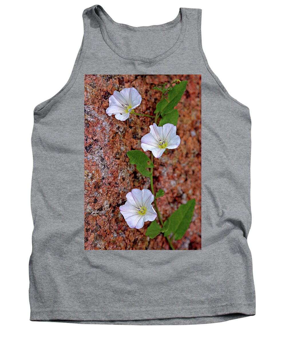 Flowers Tank Top featuring the photograph Flowers on Rock by Bob Falcone