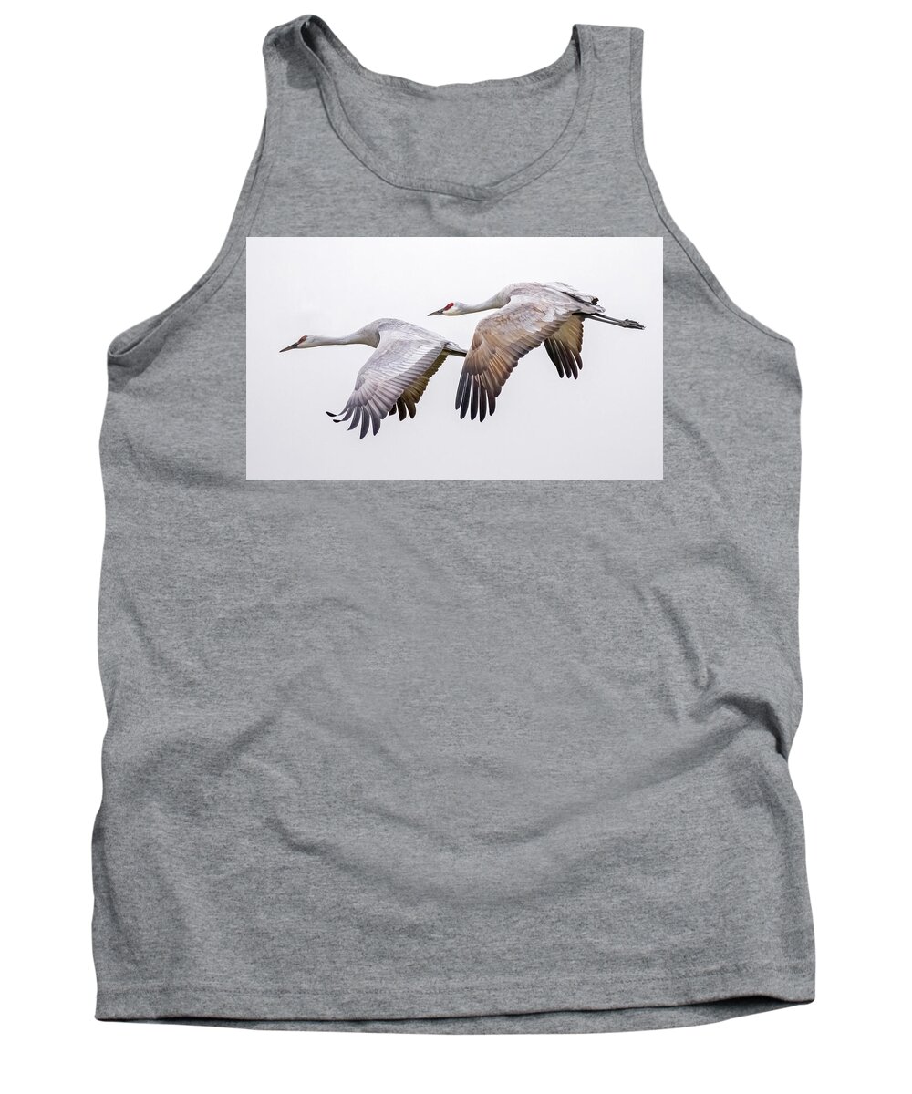 Birds Tank Top featuring the photograph Flying Sandhill Cranes #3 by Carla Brennan