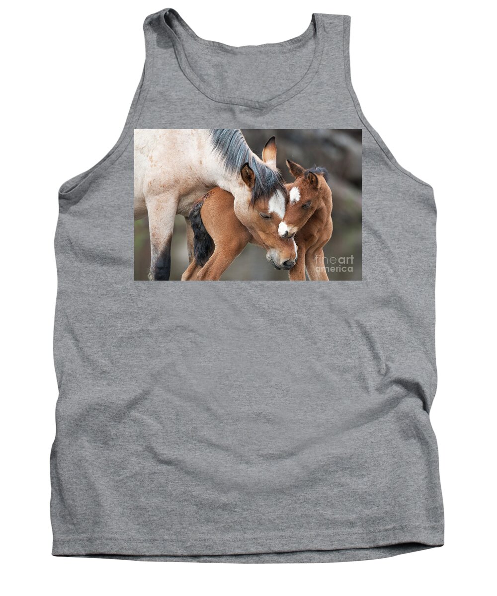 Mom & Baby Tank Top featuring the photograph A Foal's Love by Shannon Hastings