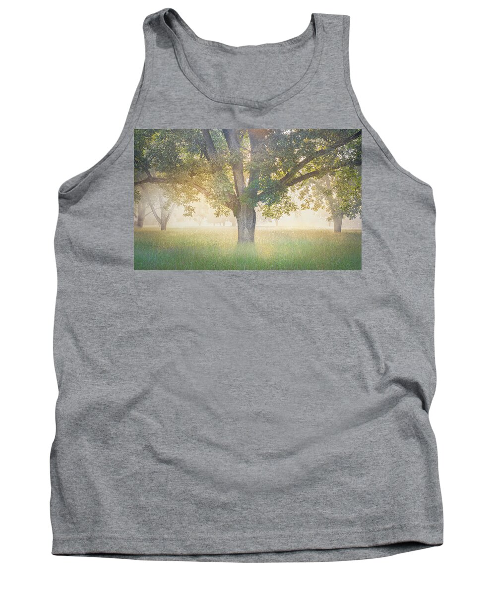 Tree Tank Top featuring the photograph Foggy Sunrise Through The Trees by Jordan Hill