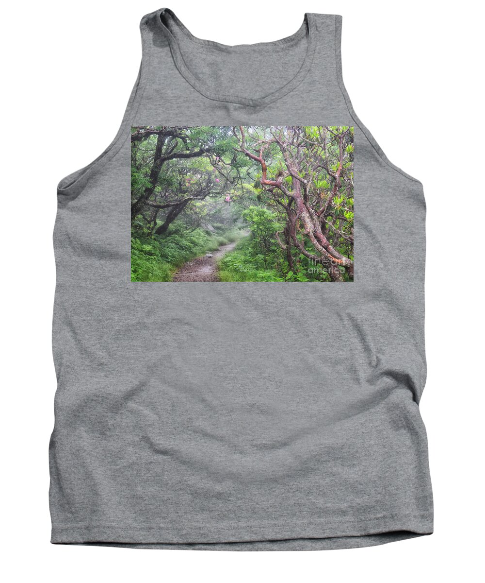 Craggy Gardens Tank Top featuring the photograph Forest Fantasy by Blaine Owens