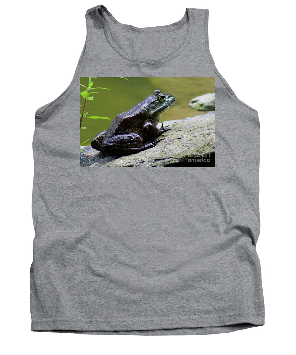 The Farm At Walnut Creek Tank Top featuring the photograph Frog on a rock by Yvonne M Smith