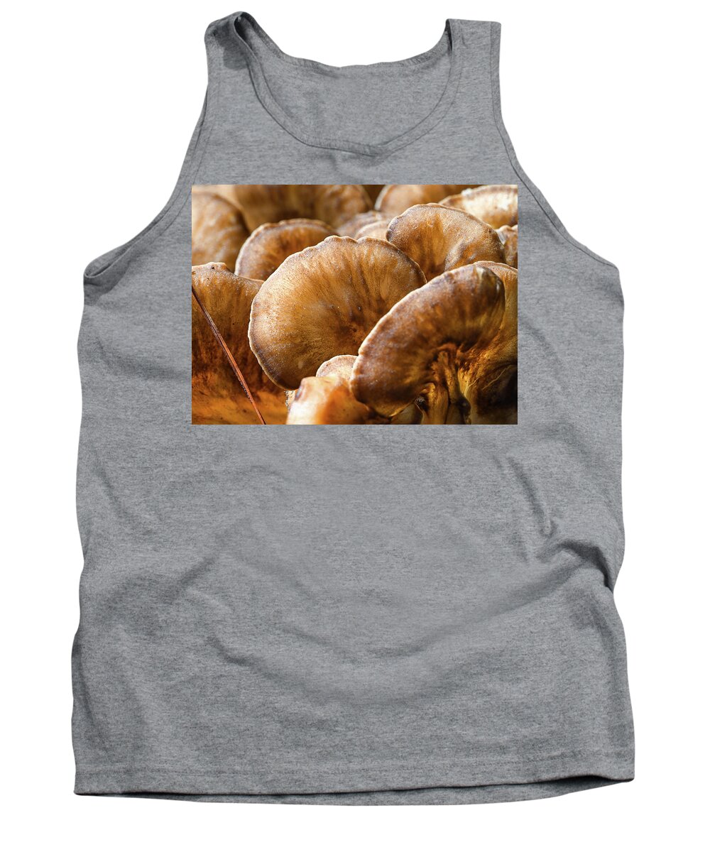 Fungi Tank Top featuring the photograph Glowing Fungi Lobe by Steven Nelson