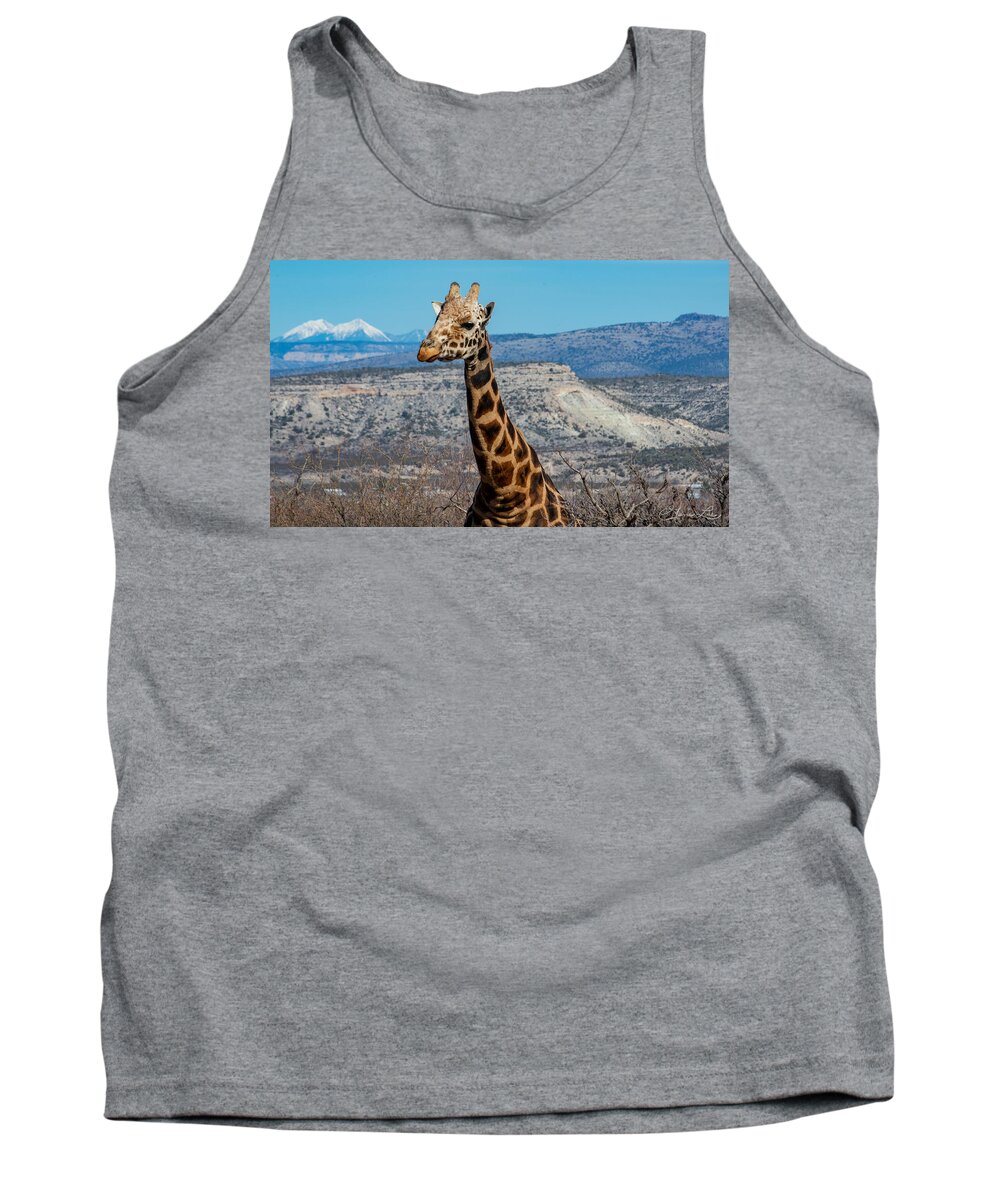 Giraffe At Out Of Africa Fstop101 Tank Top featuring the photograph Giraffe by Geno Lee