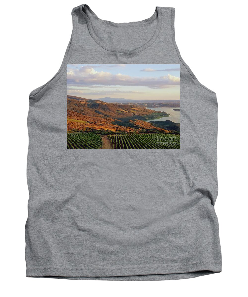 Umbria Tank Top featuring the photograph Golden Afternoon in Umbria by Sea Change Vibes