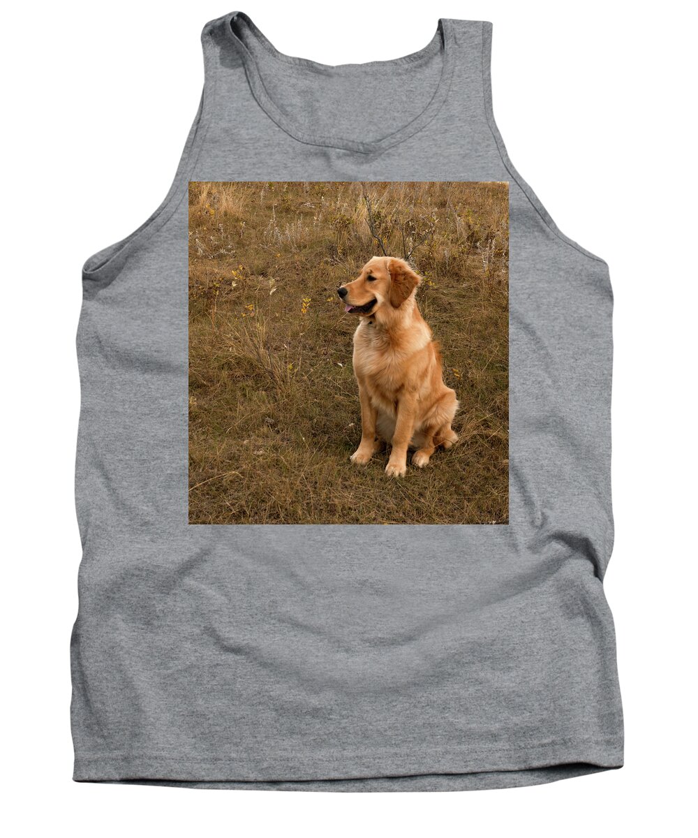 Dog Tank Top featuring the photograph Golden Retriever Smiling by Phil And Karen Rispin