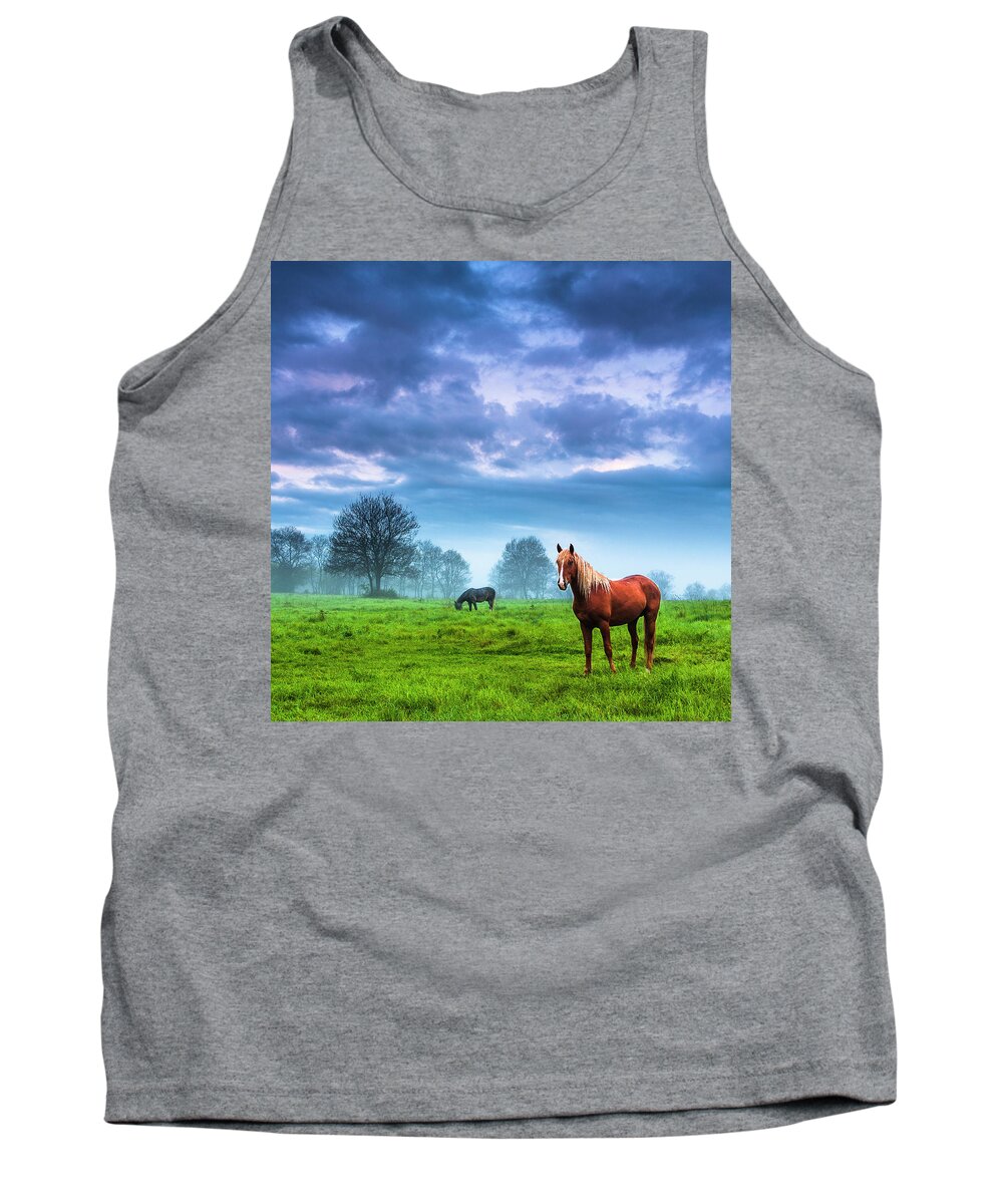 Fog Tank Top featuring the photograph Green Morn by Evgeni Dinev