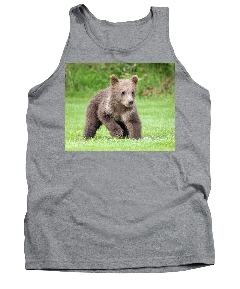 Alaska Tank Top featuring the photograph Grizzly Bear Cub by Jack Bell