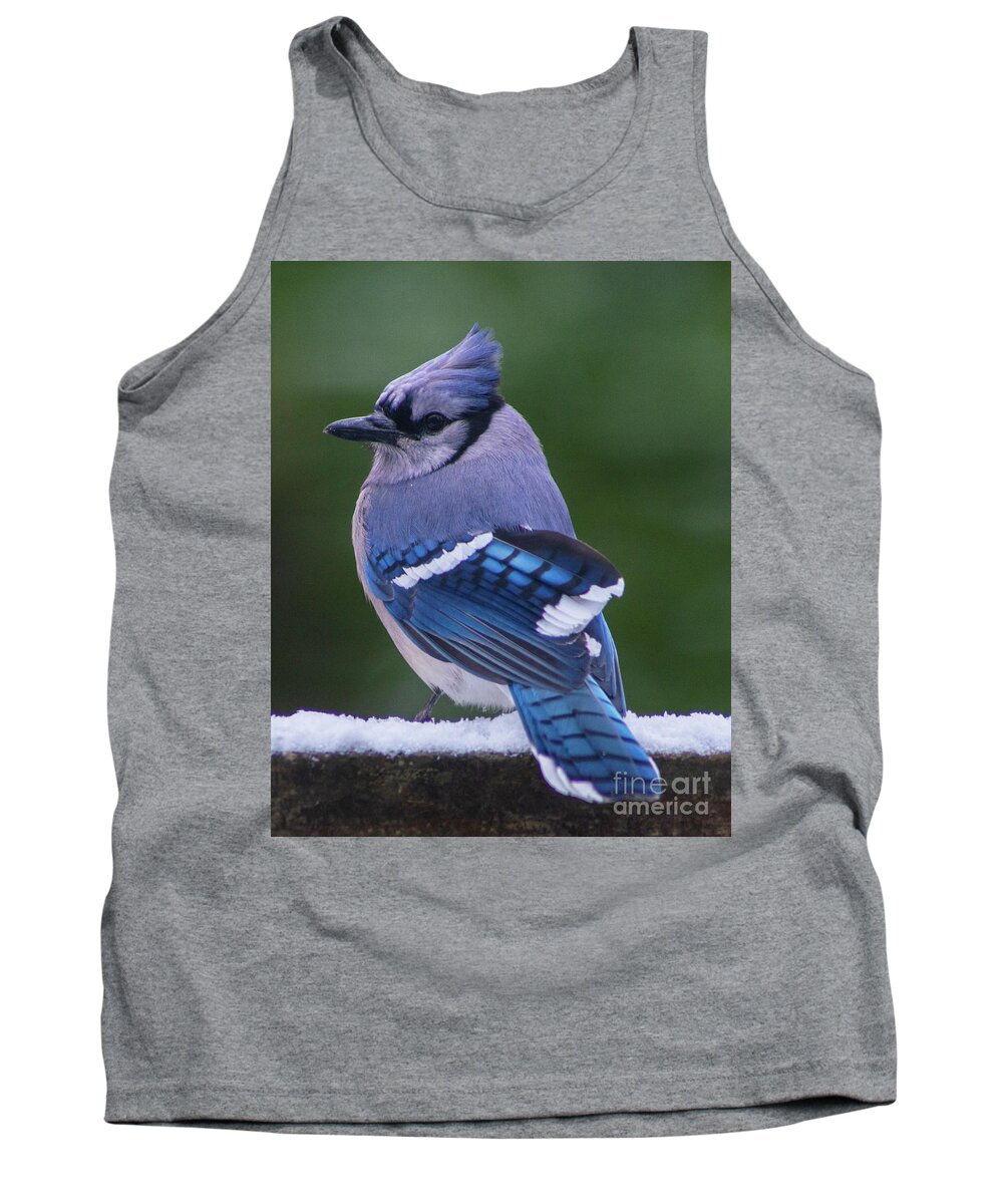 Bird Tank Top featuring the photograph Handsome Fellow by Jane Axman